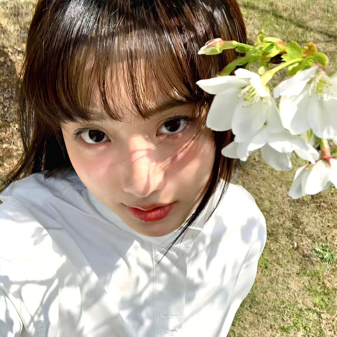 蜜月花车海报
